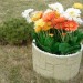 Цветник КАНЬОН купить в Самаре
