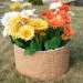 Цветник КАНЬОН купить в Самаре